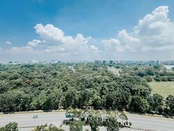 Ivory Heights (D22), Condominium #587744961